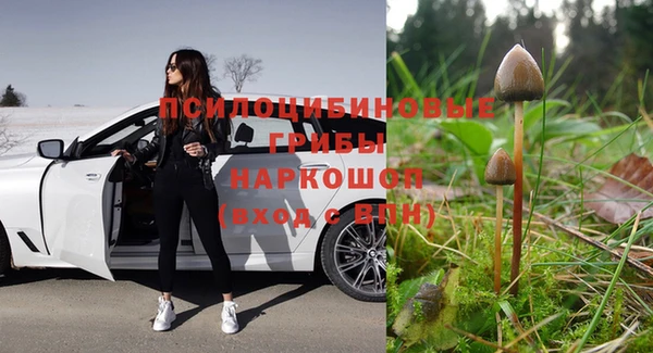 амфетамин Лабытнанги