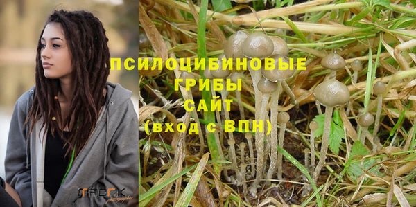 амфетамин Лабытнанги