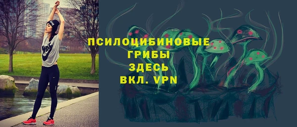 амфетамин Лабытнанги