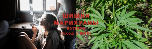 круглые Лагань